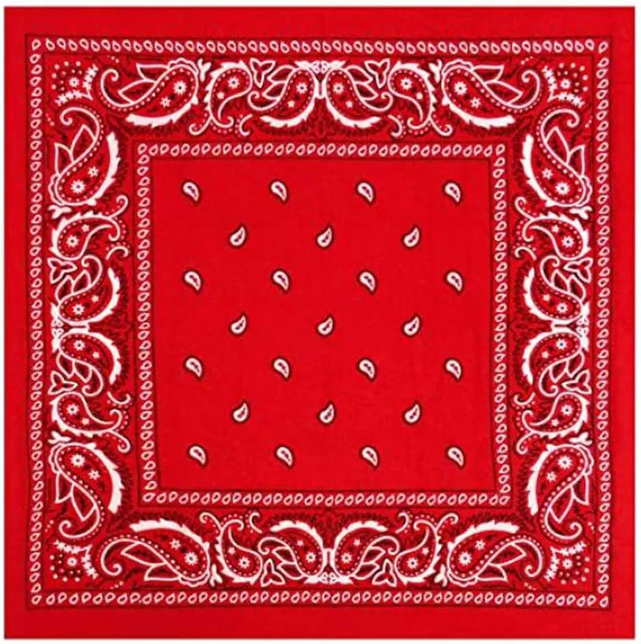 2PC Bandanas for Men and Women Fashion Bandana Soft and Durable Bandana Silk Scarf
