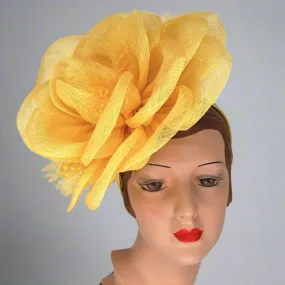 Rosa, Yellow